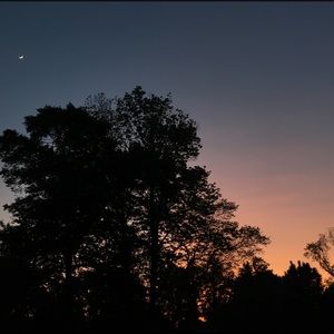 Meet your Posher, Dinah